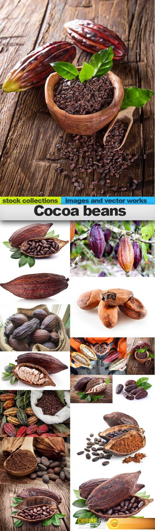 Cocoa beans, 15 x UHQ JPEG 