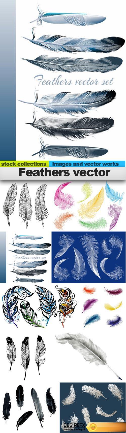 Feathers vector, 10 x EPS 