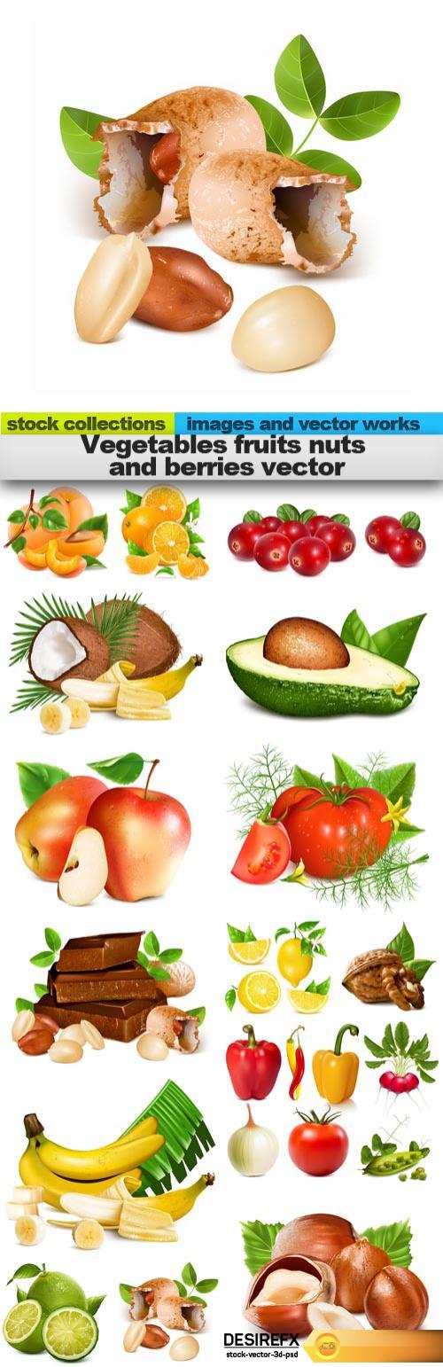 Vegetables fruits nuts and berries vector, 15 x EPS