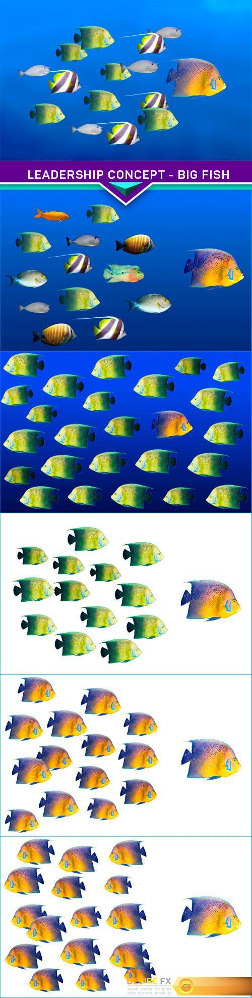 Leadership concept - big fish leading school of tropical fishes 6X JPEG