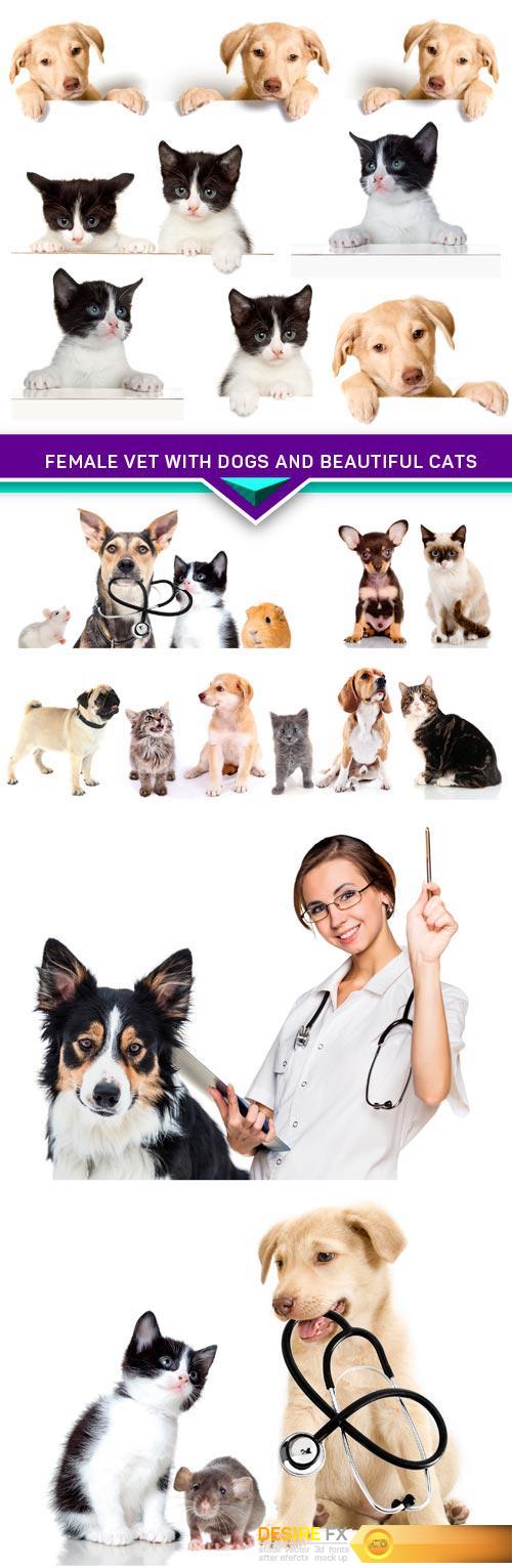 Female vet with dogs and beautiful cats 6X JPEG
