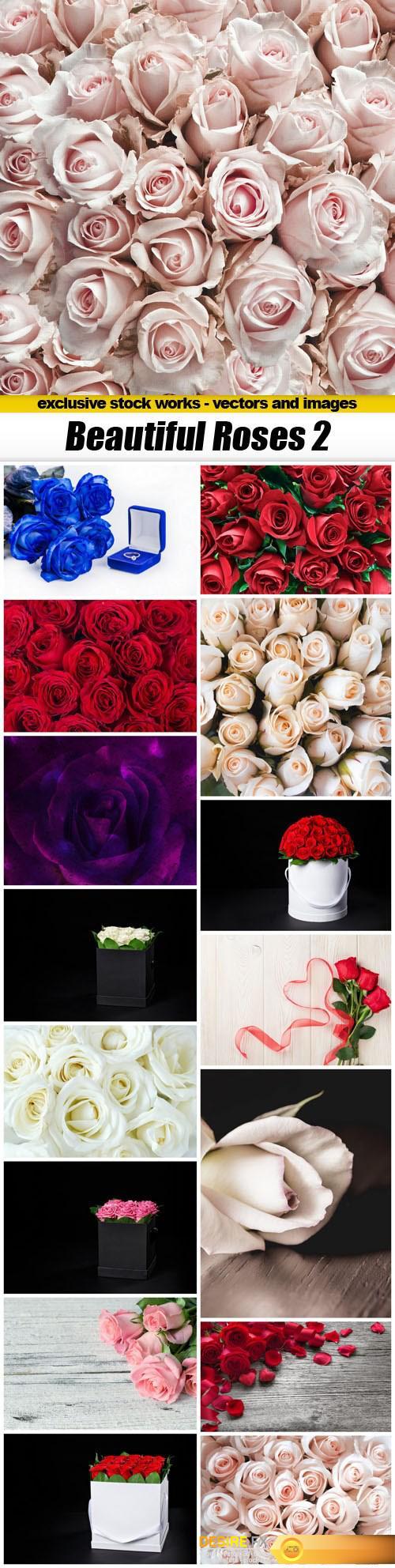 Beautiful Roses 2 - 16xUHQ JPEG