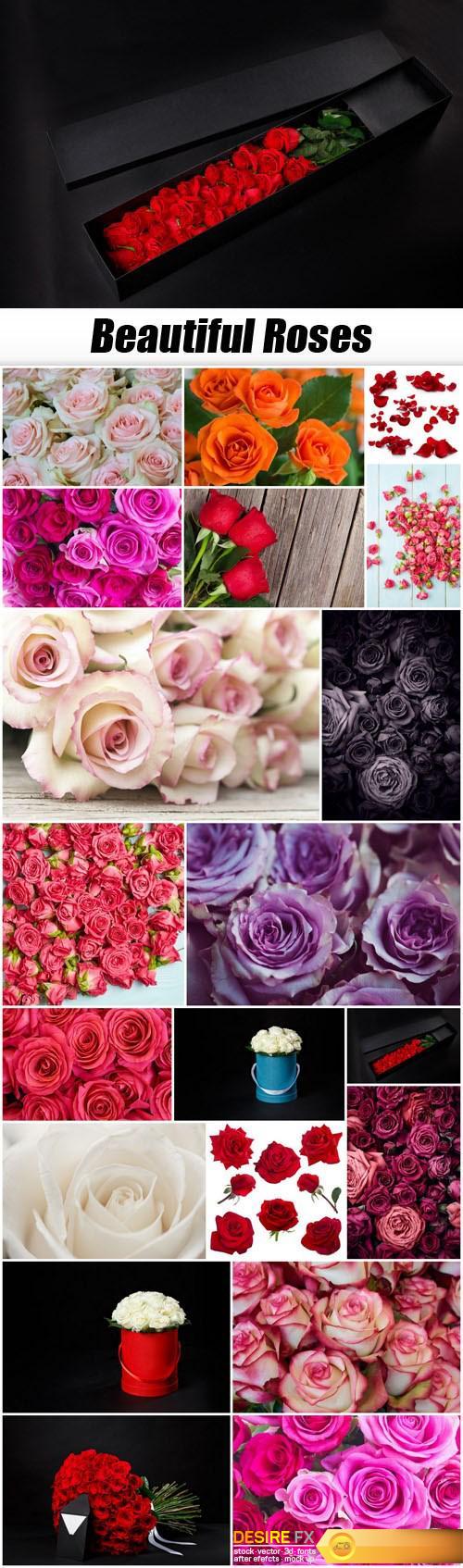 Beautiful Roses - 20xUHQ JPEG