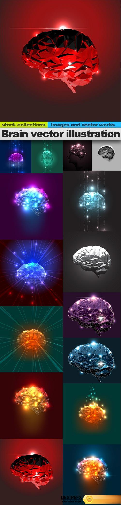 Brain vector illustration, 15 x EPS