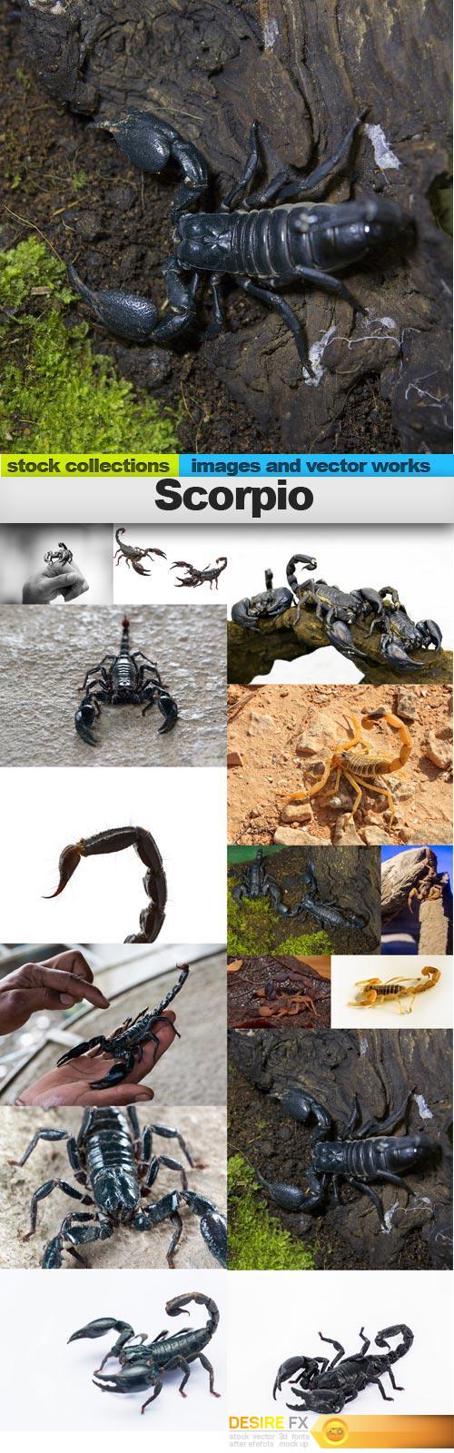 Scorpio,  15 x UHQ JPEG