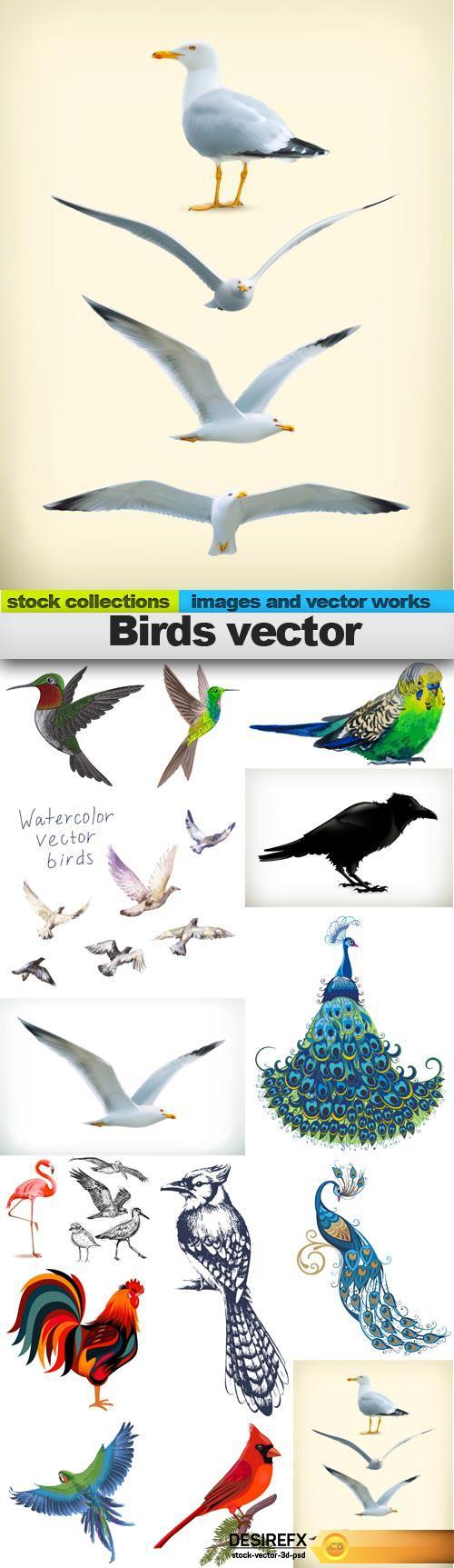 Birds vector, 15 x EPS 