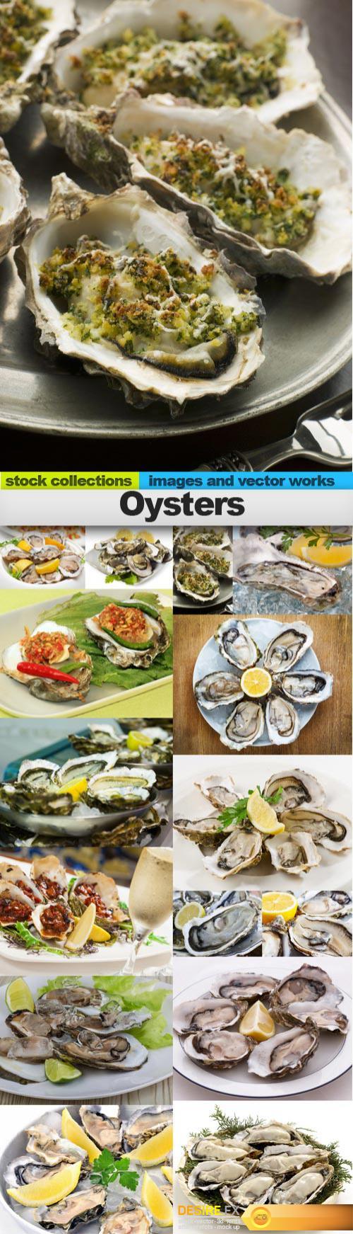 Oysters, 15 x UHQ JPEG