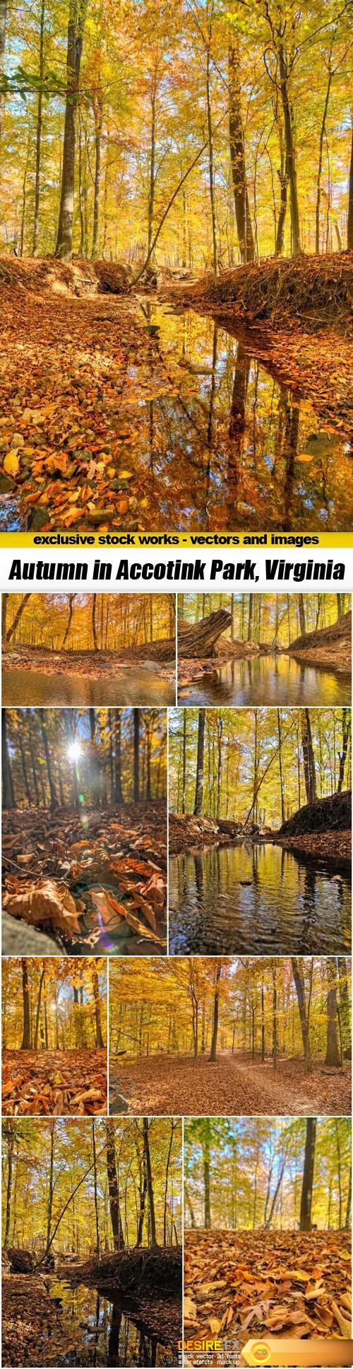Autumn in Accotink Park, Virginia - 9xUHQ JPEG