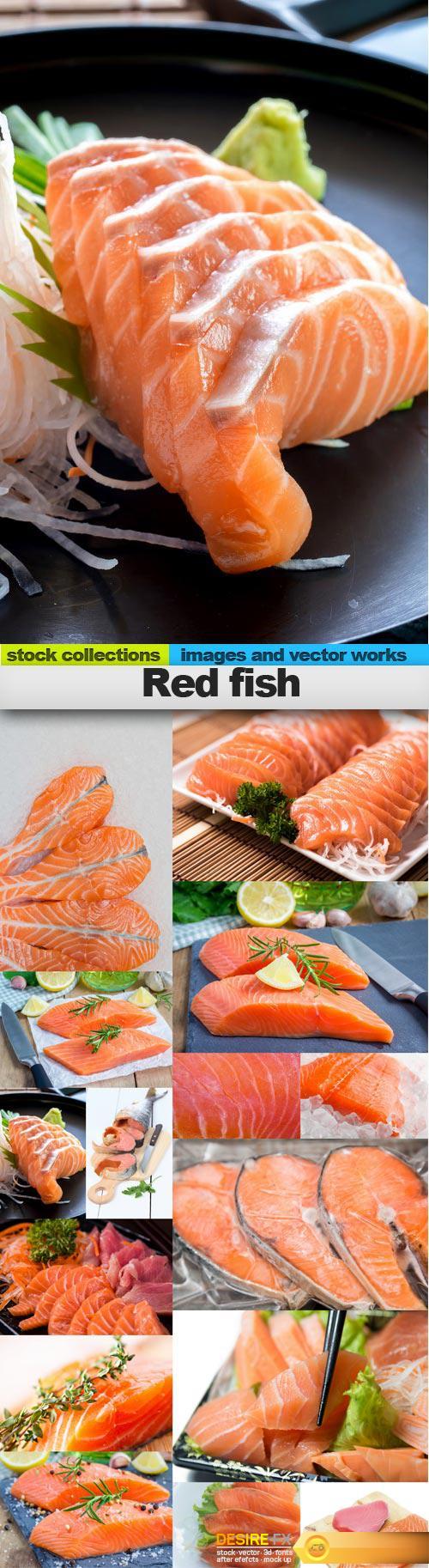 Red fish, 15 x UHQ JPEG