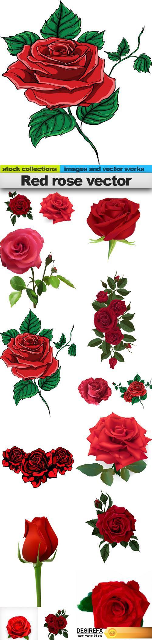 Red rose vector, 15 x EPS