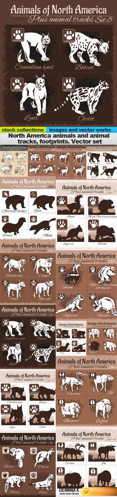 North America animals and animal tracks, footprints. Vector set, 15 x EPS