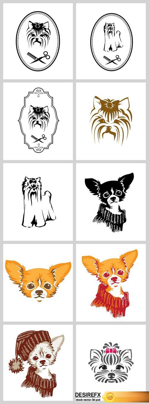 Chihuahua dog vector illustration 10X EPS