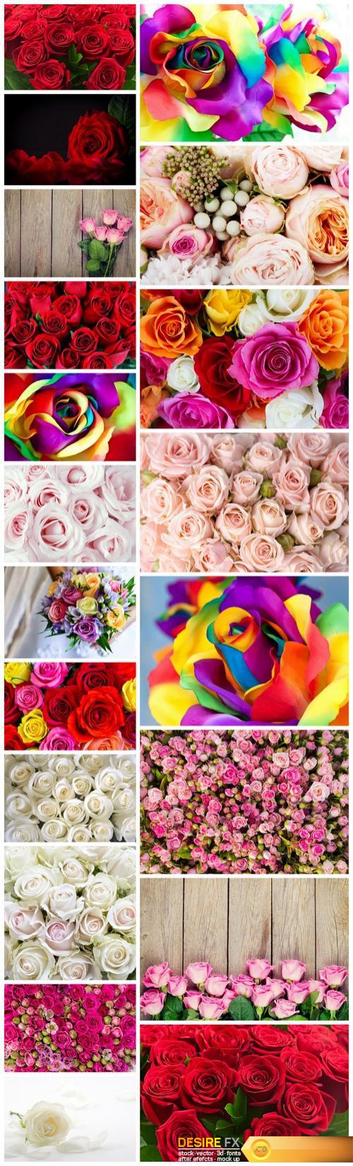 Beautiful Roses 3 - 20xUHQ JPEG