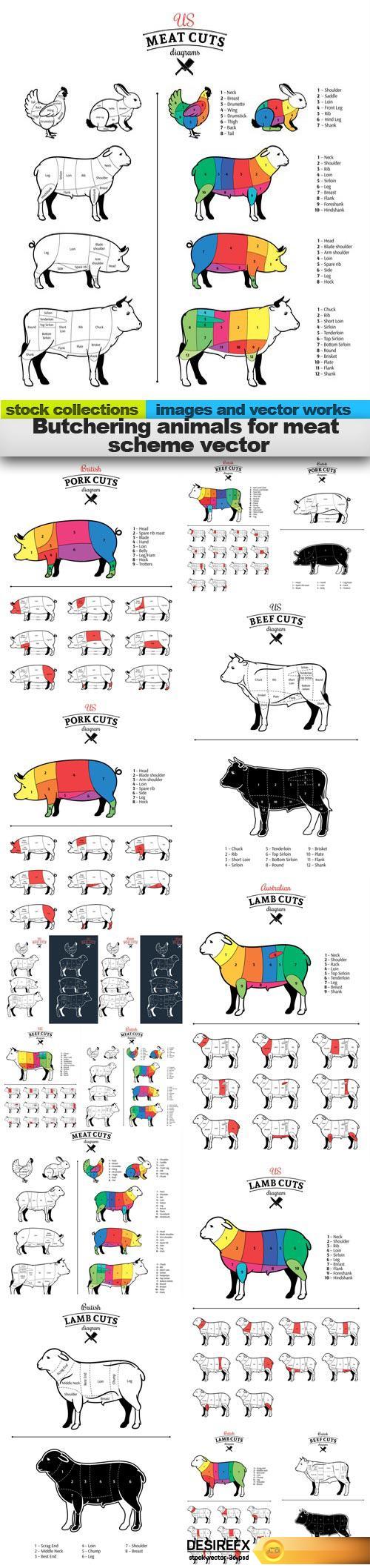 Butchering animals for meat scheme vector, 15 x UHQ JPEG 