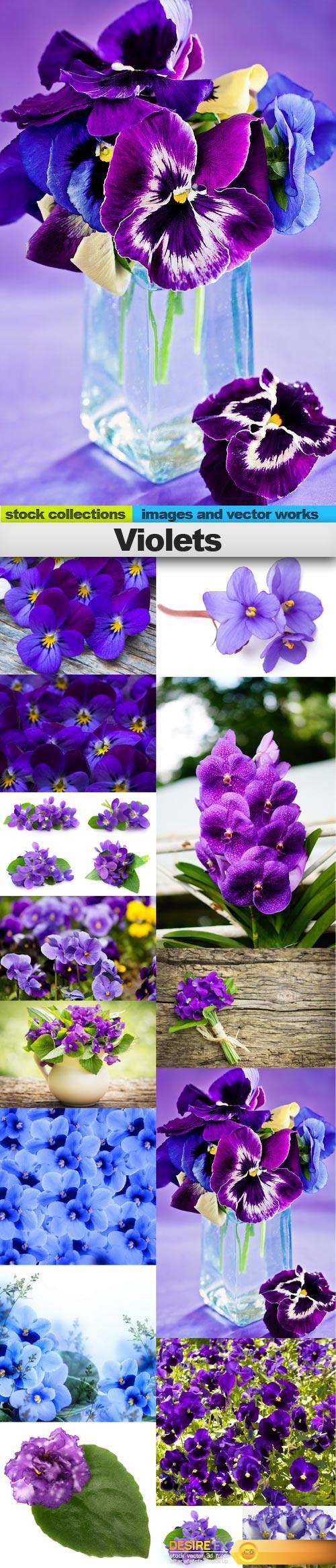 Violets, 15 x UHQ JPEG