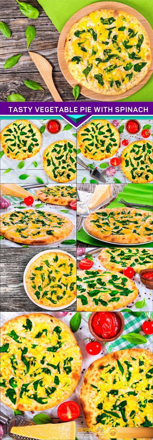 Tasty Vegetable pie with spinach, onion and cheese 8X JPEG