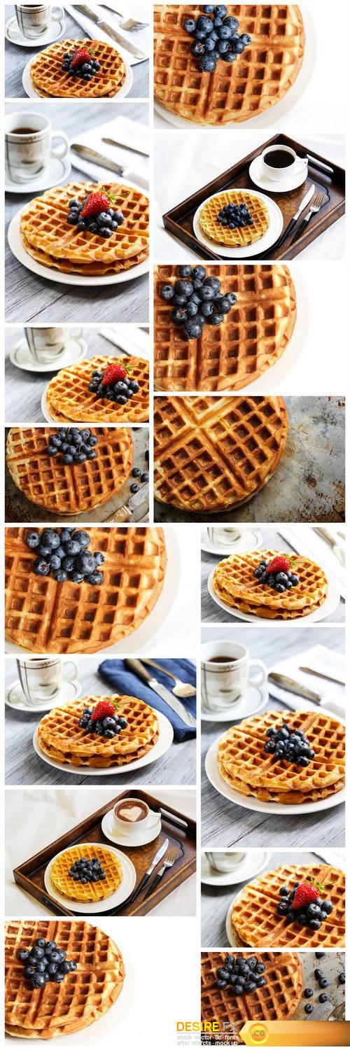 Warm Waffle Breakfast with blueberries made in a home kitchen - 16xUHQ JPEG