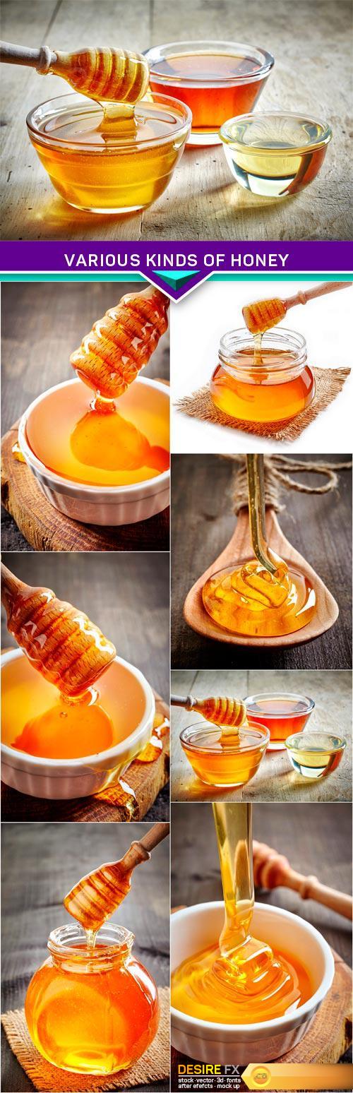 Various kinds of honey 7x JPEG