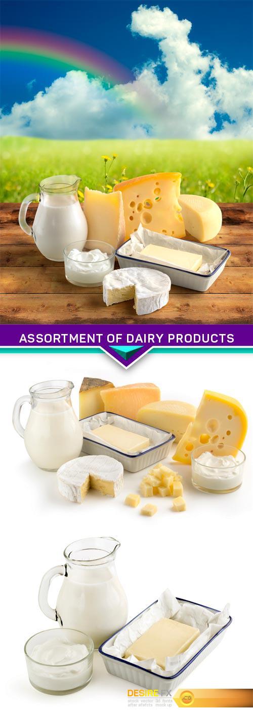 Assortment of dairy products 3X JPEG
