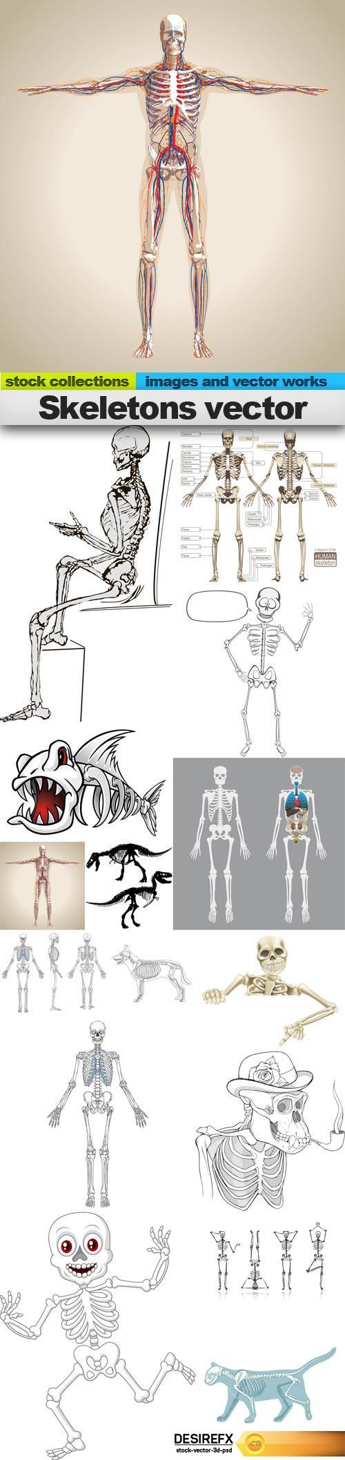 Skeletons vector, 15 x EPS