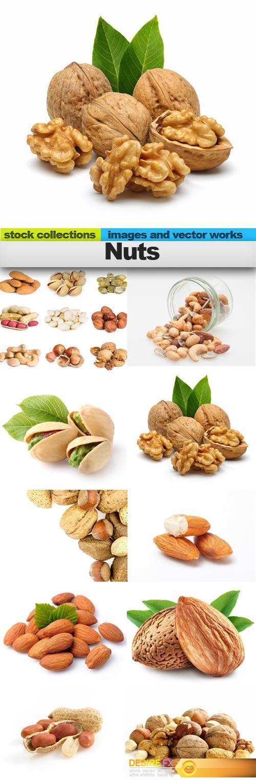 Nuts, 10 x UHQ JPEG