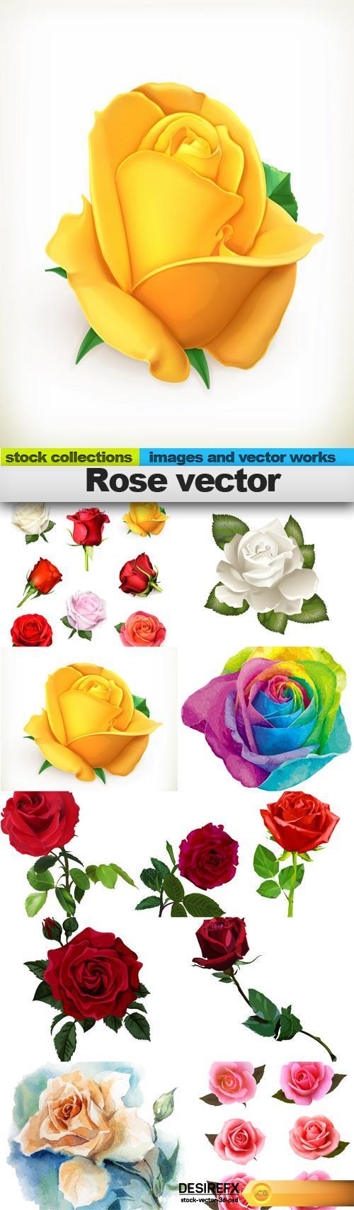 Rose vector, 10 x EPS