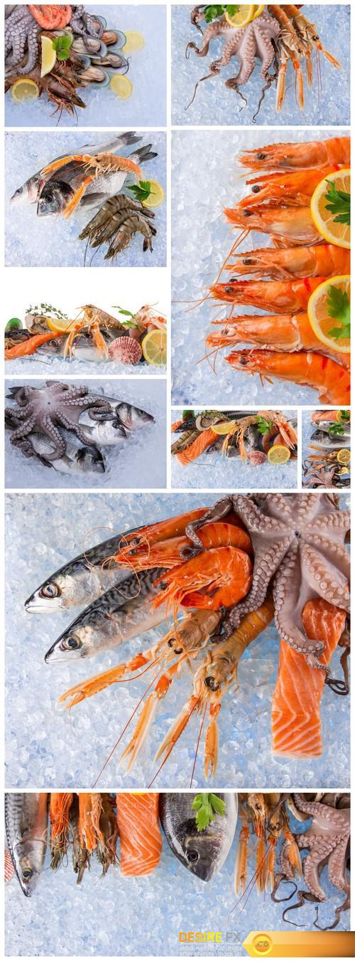 Fresh seafood on crushed ice 10X JPEG
