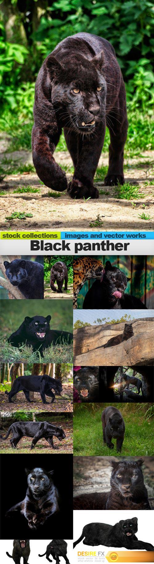 Black panther, 15 x UHQ JPEG