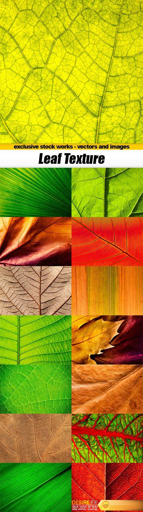 Leaf Texture - 15x JPEGs