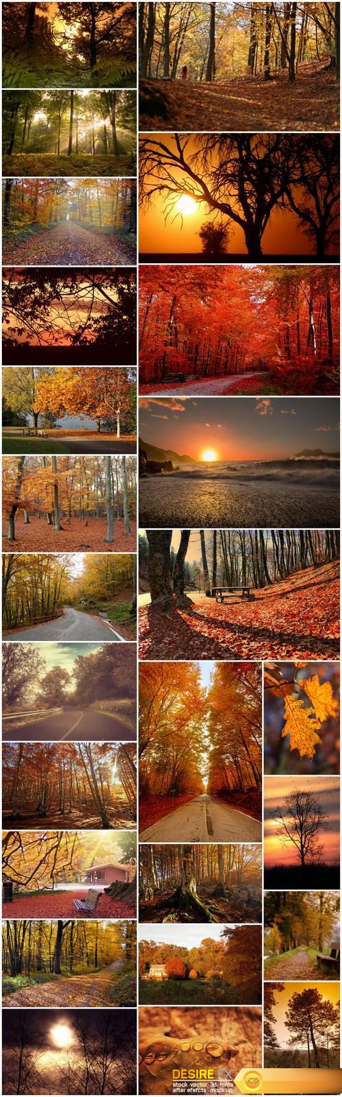 Beautiful autumn forest and landscape - 25xUHQ JPEG Photo Stock
