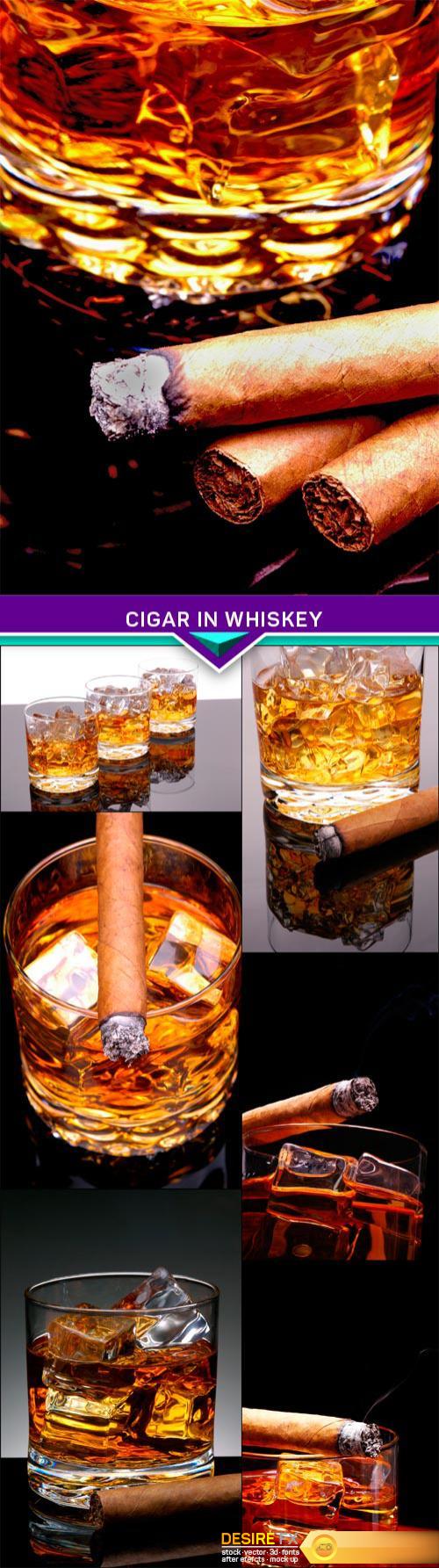 Cigar in Whiskey 7X JPEG