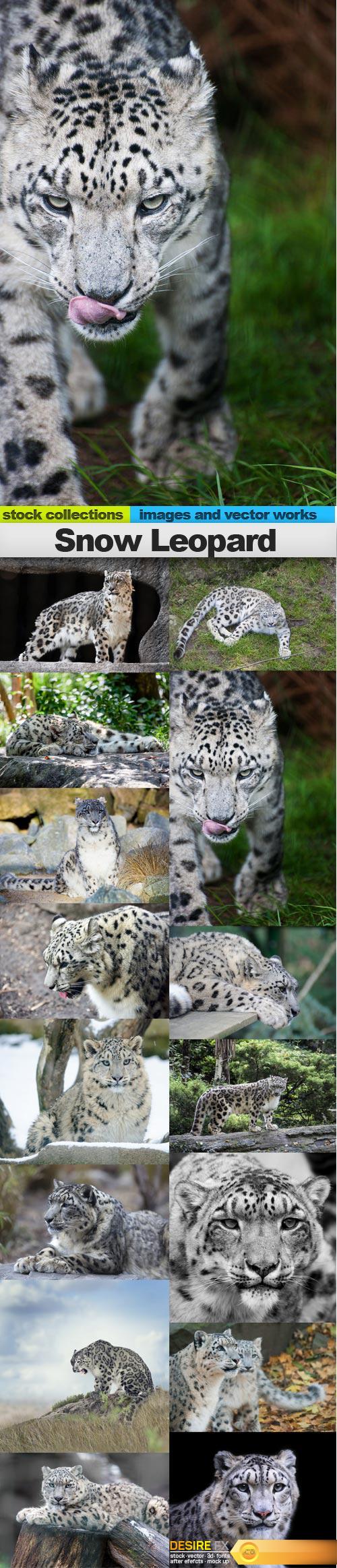 Snow Leopard, 15 x UHQ JPEG