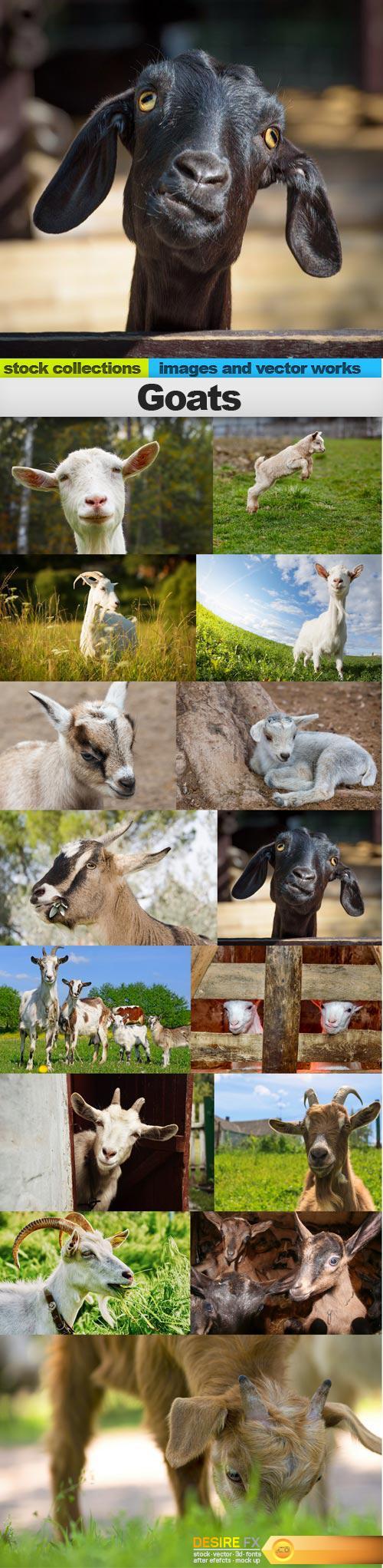 Goats, 15 x UHQ JPEG