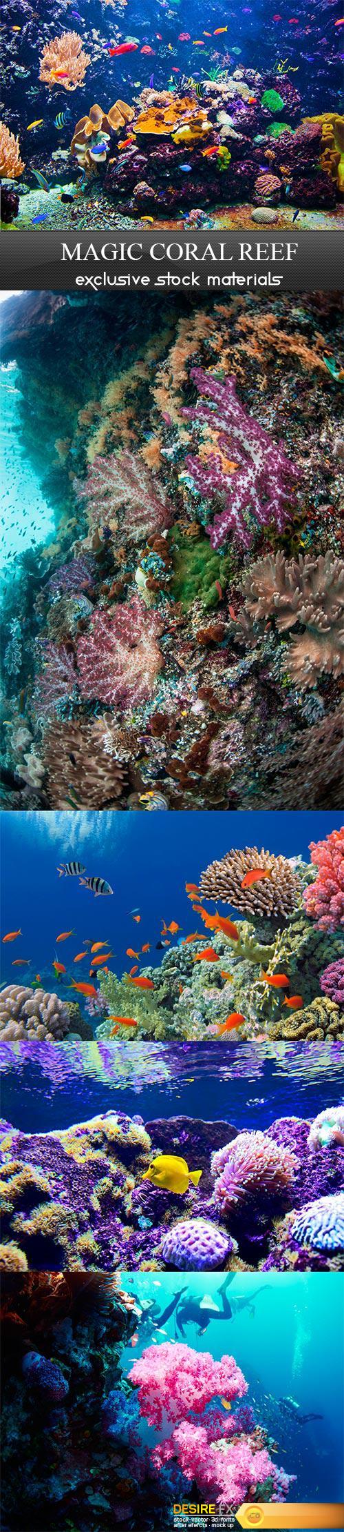 Magic coral reef - 5UHQ JPEG