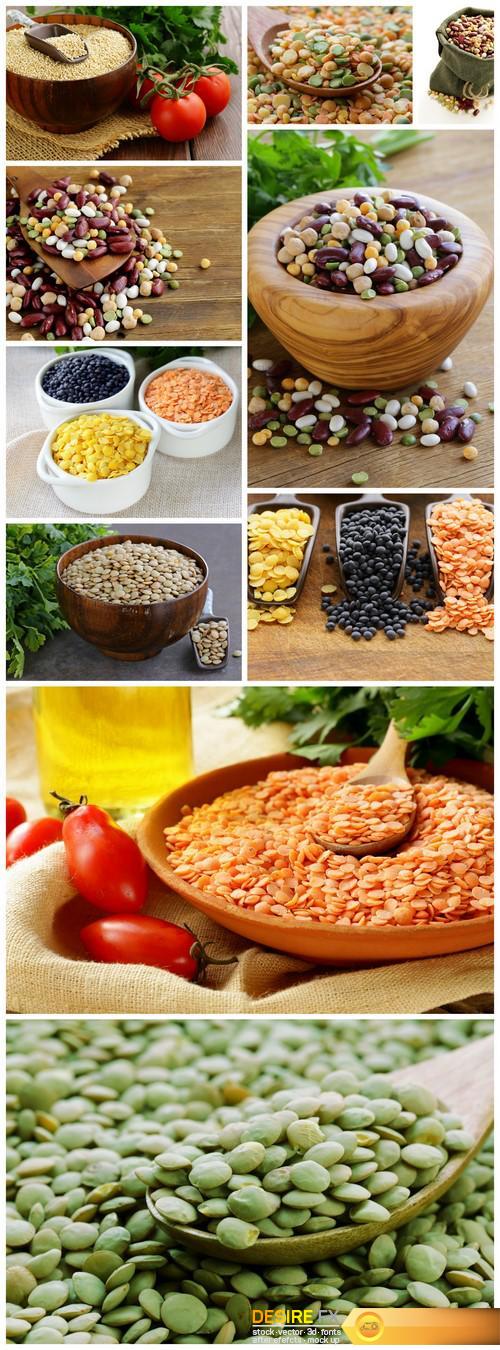 Cereals, legumes, lentils and haricot 10X JPEG
