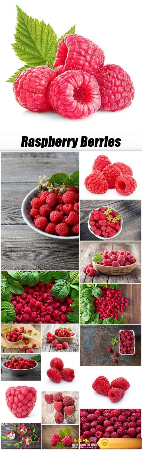 Raspberry Berries - 18xUHQ JPEG