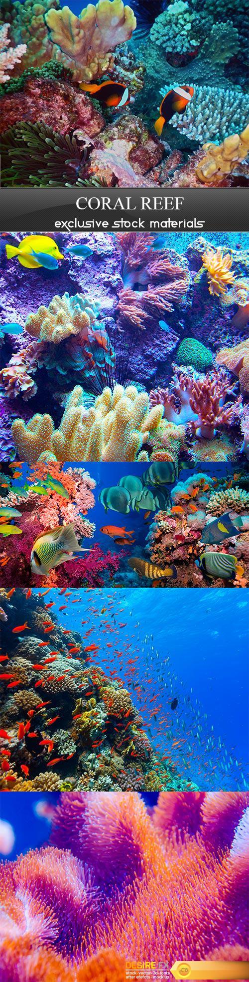 Coral reef - 5UHQ JPEG