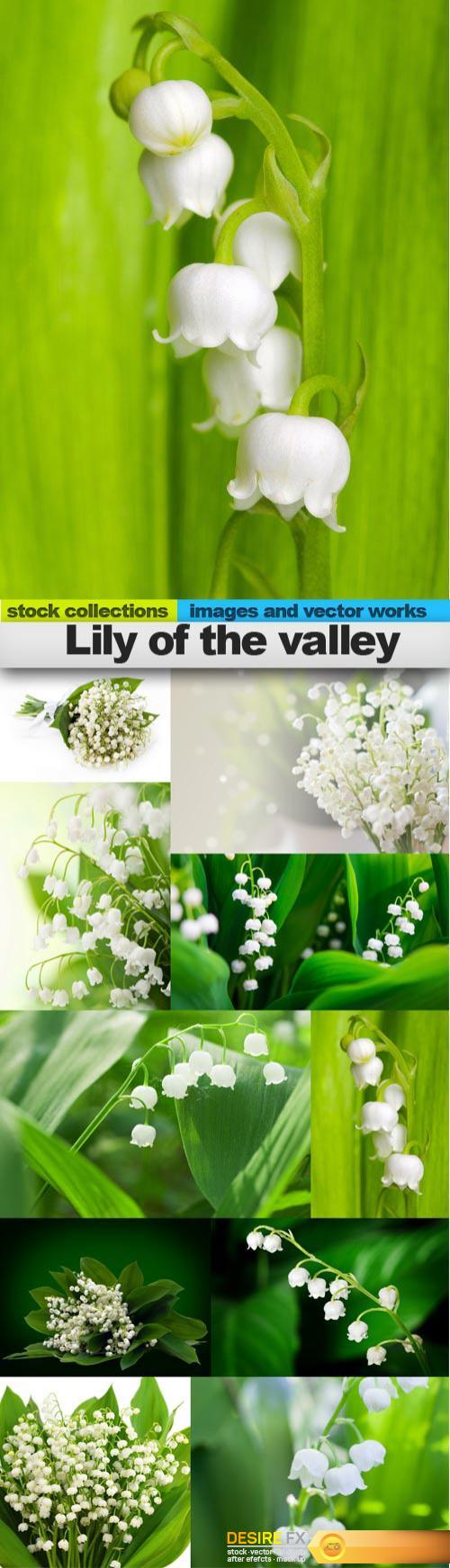 Lily of the valley, 10 x UHQ JPEG 