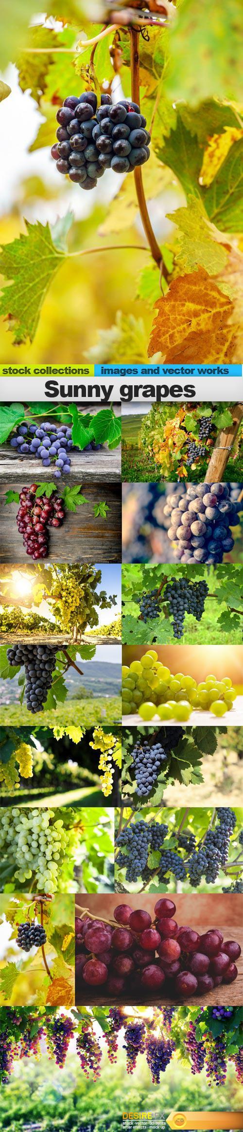 Sunny grapes, 15 x UHQ JPEG