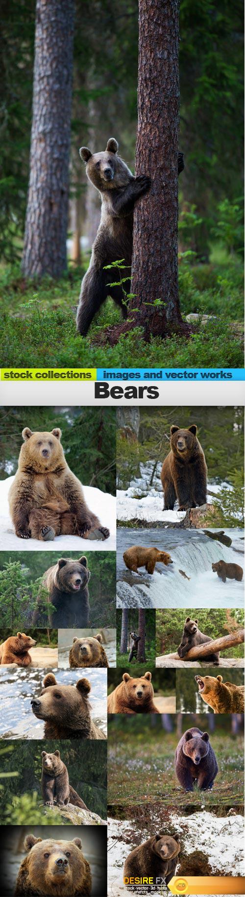 Bears, 15 x UHQ JPEG