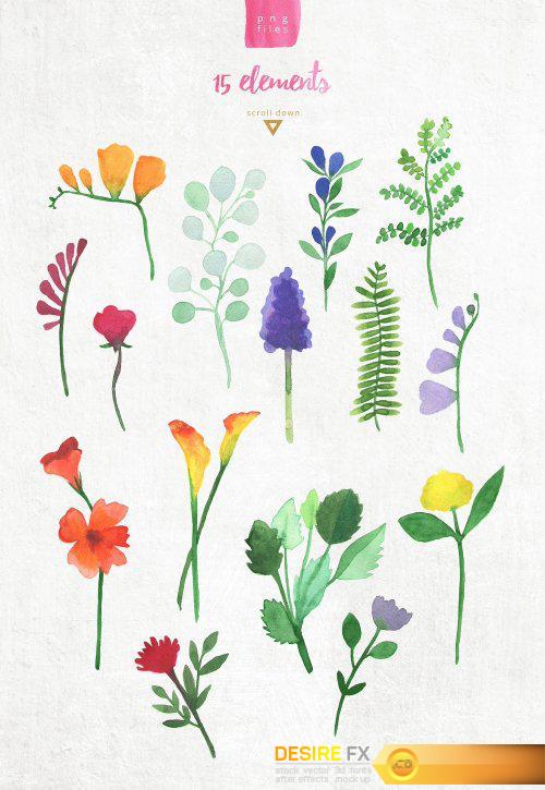 CreativeMarket Watercolor Pack Flowers 1170168