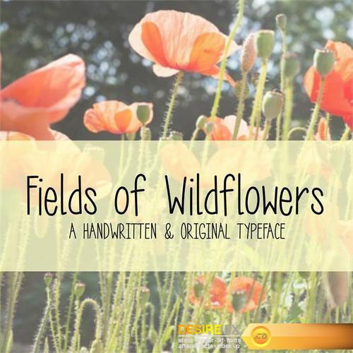 MRF Fields of Wildflowers Font