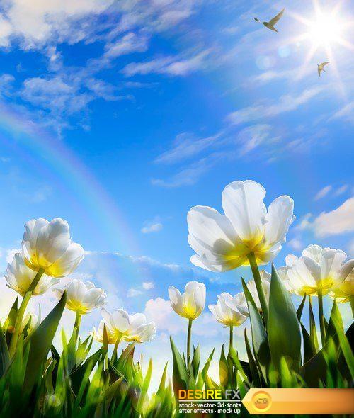 Art abstract sunny spring flower background 11X JPEG
