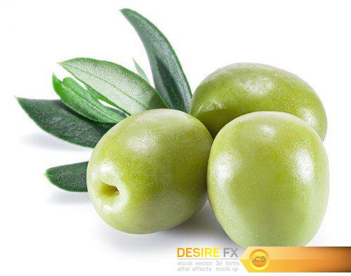 Olive fruit and olive leaves 7X JPEG