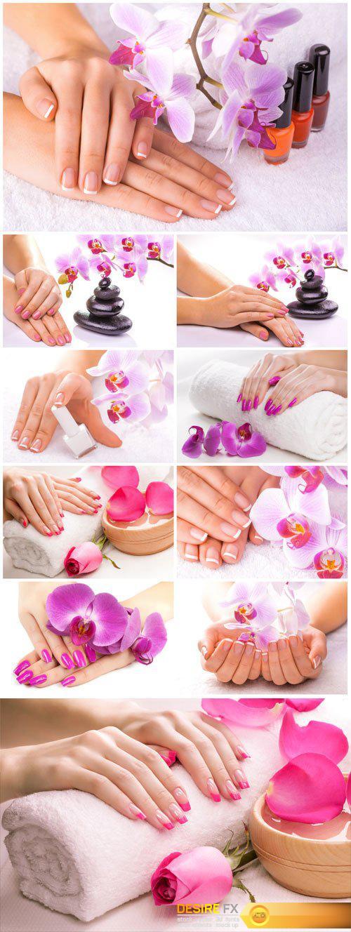 Beautiful manicure, manicured hands with orchid flowers