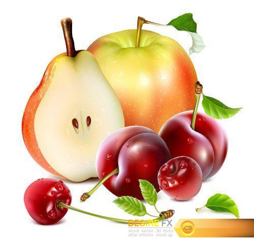 Fresh ripe garden fruits apple, pear #3 11X EPS