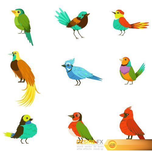 Exotic Birds Collection Of Colorful Parrots 2X EPS