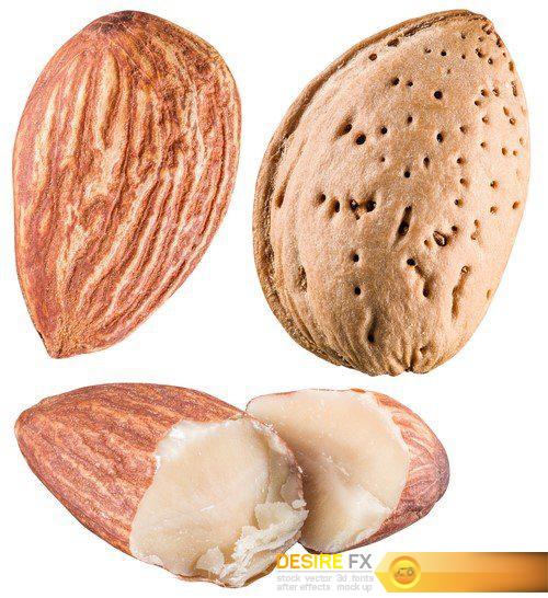 Almond nuts 9X JPEG