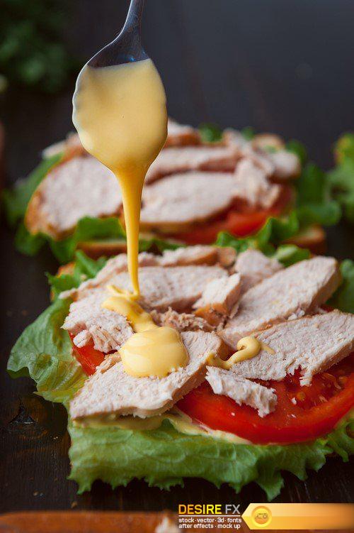 Sandwich in rustic style with turkey meat and chicken and vegetables 12X JPEG