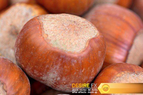 Hazelnuts on table 6X JPEG